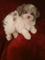 processed/02e6782e-1c74-444b-b037-c1aea849d994/facility/989d2b7f-28e2-44b4-b294-5f026161ef9b