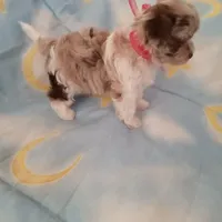 processed/02e6782e-1c74-444b-b037-c1aea849d994/facility/b9daad7f-2514-4909-89d6-0b70d3b82daf