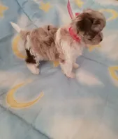 processed/02e6782e-1c74-444b-b037-c1aea849d994/facility/b9daad7f-2514-4909-89d6-0b70d3b82daf