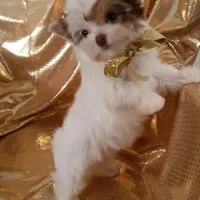 processed/02e6782e-1c74-444b-b037-c1aea849d994/facility/d5c63928-16f5-4848-ac1b-4e08c9141ace