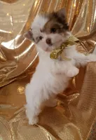 processed/02e6782e-1c74-444b-b037-c1aea849d994/facility/d5c63928-16f5-4848-ac1b-4e08c9141ace