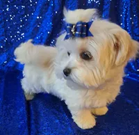 processed/02e6782e-1c74-444b-b037-c1aea849d994/listing/ba798250-b7c7-4592-abc1-ffc6e4e0bd93/89f671ef-bec3-4b85-bbfc-dd40fc8e71cf