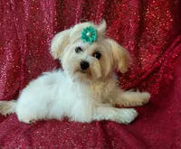 processed/02e6782e-1c74-444b-b037-c1aea849d994/listing/ba798250-b7c7-4592-abc1-ffc6e4e0bd93/8cd3c4ce-076f-47eb-80d6-ebccdf4e7e4b