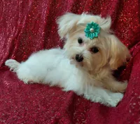 processed/02e6782e-1c74-444b-b037-c1aea849d994/listing/ba798250-b7c7-4592-abc1-ffc6e4e0bd93/b95b293b-35f8-414a-954c-c2dcc7e53953