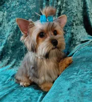 processed/02e6782e-1c74-444b-b037-c1aea849d994/listing/ffae63b7-c4d8-4960-a042-e15f428c64ca/0379680d-1457-4924-b0bc-44999fe15c3b