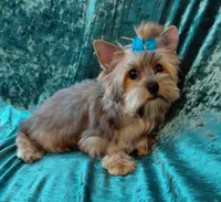 processed/02e6782e-1c74-444b-b037-c1aea849d994/listing/ffae63b7-c4d8-4960-a042-e15f428c64ca/db45786a-0342-4703-a52a-41abd19ff645