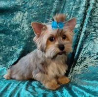 processed/02e6782e-1c74-444b-b037-c1aea849d994/listing/ffae63b7-c4d8-4960-a042-e15f428c64ca/fdb8f88d-1398-4f8e-8fdc-05f6a70b814f