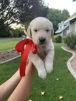 processed/02e806f1-0216-440d-8ac0-3705774159db/facility/004a6a34-1331-45ff-b3fe-22325946e7f9