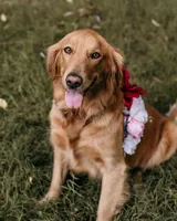 processed/02e806f1-0216-440d-8ac0-3705774159db/facility/5a7503f2-aba3-4587-8eee-b98e50f13ee4