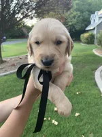 processed/02e806f1-0216-440d-8ac0-3705774159db/facility/79fc4ec6-49c4-4196-9117-a0f4ca8dc004