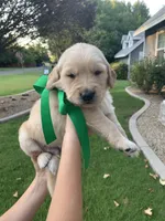 processed/02e806f1-0216-440d-8ac0-3705774159db/facility/85a0edff-9f29-4893-a30b-3736348fc396