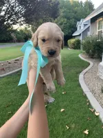 processed/02e806f1-0216-440d-8ac0-3705774159db/facility/b119da65-740a-4cae-a372-6fdab13de797