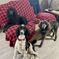 processed/02eeea9d-a289-48dd-ba22-51581ea91343/facility/58059e22-24fa-4f5d-86ab-8b566ed568d7