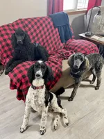 processed/02eeea9d-a289-48dd-ba22-51581ea91343/facility/58059e22-24fa-4f5d-86ab-8b566ed568d7