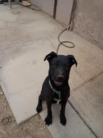 processed/02fd2f3c-db69-4d2a-89e3-8449e1741e2d/listing/5d2ae8af-8efa-4383-bc8d-f6ea6d1c6f3a/2b1c039c-f7da-4ce9-82ba-5f5b3fa0b101