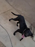 processed/02fd2f3c-db69-4d2a-89e3-8449e1741e2d/listing/5d2ae8af-8efa-4383-bc8d-f6ea6d1c6f3a/66674fac-4658-4e0c-9854-48983199f27d