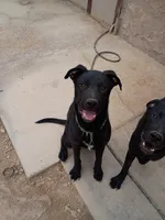 processed/02fd2f3c-db69-4d2a-89e3-8449e1741e2d/listing/5d2ae8af-8efa-4383-bc8d-f6ea6d1c6f3a/8790516f-7313-4194-9096-f17df06ffd40