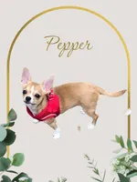 processed/02fe3962-b1e5-4e87-a390-8d23313bef12/facility/28767e3d-72e2-4c6d-88de-051ff8668f6e