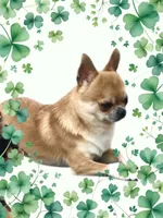 processed/02fe3962-b1e5-4e87-a390-8d23313bef12/facility/49ab1f3c-1bf9-47b1-b5ec-238536745063