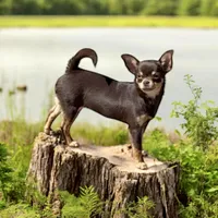 processed/02fe3962-b1e5-4e87-a390-8d23313bef12/facility/a4de3364-fc48-485c-8c7c-8b1b6427e3aa