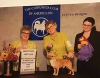 processed/02fe3962-b1e5-4e87-a390-8d23313bef12/listing/52e5fad4-b8df-467a-9625-e68adfaf6435/315b4d3d-12d0-4b28-b32e-2e53cef55de7