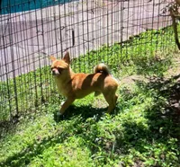 processed/02fe3962-b1e5-4e87-a390-8d23313bef12/listing/52e5fad4-b8df-467a-9625-e68adfaf6435/96245337-e6d4-406e-98a6-da343b6b4c84