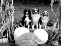 processed/0306f3c4-c16e-4104-97aa-8261dd019c9f/facility/072aa98d-66af-4a37-a802-e0fdecea80a0