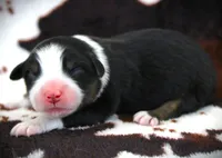 processed/0306f3c4-c16e-4104-97aa-8261dd019c9f/listing/5b4e0a48-8137-40a1-b831-7ed3ddebf8d7/2525858e-c414-4057-8dbd-61ffee3ab353