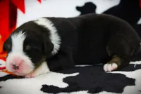 processed/0306f3c4-c16e-4104-97aa-8261dd019c9f/listing/5b4e0a48-8137-40a1-b831-7ed3ddebf8d7/ea44e9ef-25ea-4215-9924-31fb0527cb30