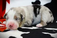 processed/0306f3c4-c16e-4104-97aa-8261dd019c9f/listing/bc6abf82-2241-4756-b36d-7704cb23ec3d/d7526c40-90c0-44c6-a7b9-cd419c8c3c95