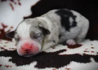 processed/0306f3c4-c16e-4104-97aa-8261dd019c9f/listing/bc6abf82-2241-4756-b36d-7704cb23ec3d/f2a8f1c8-c469-4ded-b327-d9ccb6216622