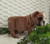 processed/030db2a9-ed2c-4297-bdad-445c71ab8f74/listing/d6b8cf48-9f0b-40f5-bc48-7e2580e59e43/0ea23cd9-5713-4fd9-b64d-513e292162b6