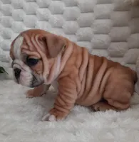 processed/030db2a9-ed2c-4297-bdad-445c71ab8f74/listing/d6b8cf48-9f0b-40f5-bc48-7e2580e59e43/2cdce2cb-0608-467e-80c4-ac83bbbbdd4f