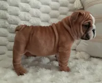 processed/030db2a9-ed2c-4297-bdad-445c71ab8f74/listing/d6b8cf48-9f0b-40f5-bc48-7e2580e59e43/68f43b68-62a5-4a15-bc0e-235ffccb91b5