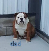 processed/030db2a9-ed2c-4297-bdad-445c71ab8f74/listing/d6b8cf48-9f0b-40f5-bc48-7e2580e59e43/88da7d6c-6618-4bc0-ac95-55fc39b2263a