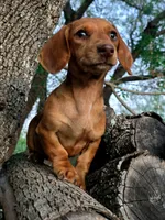 processed/0311195b-a057-478d-b7d9-413adc54879f/listing/2b944292-237a-4b4a-9fce-16b688411e84/5c4293c4-8bfa-4a95-8fc8-f44a6e654b64