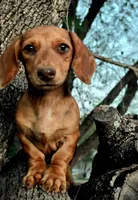 processed/0311195b-a057-478d-b7d9-413adc54879f/listing/2b944292-237a-4b4a-9fce-16b688411e84/91d8de90-bbc5-47f5-ac56-269be04c4547