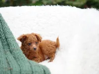 processed/031a16a0-ad38-49a3-9148-e22988f4e6a2/listing/365a36c3-5325-464a-9ee8-fd238caa2db3/0bc05a05-21d5-4cc9-8911-81a6aae6fa7b