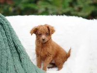 processed/031a16a0-ad38-49a3-9148-e22988f4e6a2/listing/365a36c3-5325-464a-9ee8-fd238caa2db3/2d2277a6-7c99-4a1f-abde-fe99e35bc055