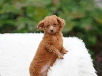 processed/031a16a0-ad38-49a3-9148-e22988f4e6a2/listing/365a36c3-5325-464a-9ee8-fd238caa2db3/893b65e9-8fc0-4736-8265-ad23817f270f