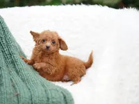 processed/031a16a0-ad38-49a3-9148-e22988f4e6a2/listing/365a36c3-5325-464a-9ee8-fd238caa2db3/a07e717b-5e68-453b-a1c3-ea7184a0d02c