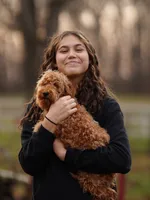 Gus Gus, a male Miniature Goldendoodle for sale in Rock Island, TN – Photo 4 of 4