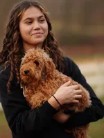 Gus Gus, a male Miniature Goldendoodle for sale in Rock Island, TN – Photo 1 of 4