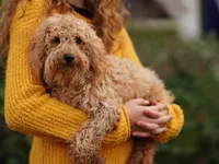 processed/031a16a0-ad38-49a3-9148-e22988f4e6a2/listing/77ffa075-331a-471c-b670-c16ebfeaf9d5/3002b3b2-f4b9-4cf2-bec5-98ebbdfede94