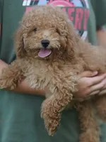 processed/031a16a0-ad38-49a3-9148-e22988f4e6a2/listing/77ffa075-331a-471c-b670-c16ebfeaf9d5/458076b8-7be1-49ef-92b1-07e6ab0ebe78