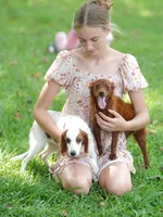 Mini - Dorothy, a female Miniature Goldendoodle for sale in Rock Island, TN – Photo 9 of 9