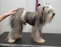 processed/031d114f-c0c5-48cc-a990-0ab8550993c0/listing/f2bb374a-926b-4205-b0d0-9a13c291b383/3788e123-851c-4b39-afb0-10f5f57915ad