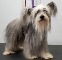 processed/031d114f-c0c5-48cc-a990-0ab8550993c0/listing/f2bb374a-926b-4205-b0d0-9a13c291b383/7b14640c-e051-42c5-bfaf-a12f592b6c0b