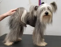 processed/031d114f-c0c5-48cc-a990-0ab8550993c0/listing/f2bb374a-926b-4205-b0d0-9a13c291b383/f9c1637b-da42-4197-9477-ea1b04187ce3