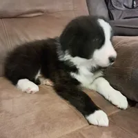 processed/0321642b-a1fe-41b0-a530-aad549af0776/listing/a0abaf27-13ab-465f-a355-dba40ec43d22/3189ccaa-719f-493c-bc47-039363bb66d5